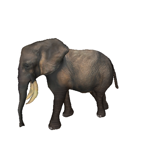 Elefante model with custom material